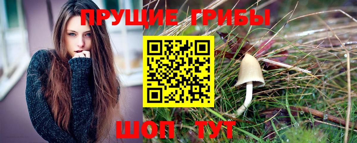 Псилоцибиновые грибы ЛСД  Вход с VPN  продажа наркотиков  Кольчугино 
